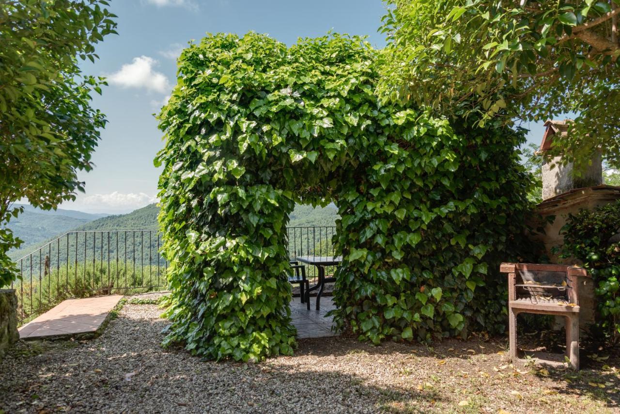 Villa Usignolo Dicomano Esterno foto